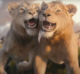 "Mufasa" : une bande-annonce et une date !