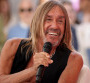 Iggy Pop fan... des Inconnus !