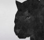 Alain Bashung : le clip des "Variations sur Marilou"