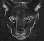 Disclosure : "Caracal" sortira à la rentrée