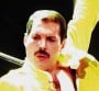 Freddie Mercury : sa tombe aurait été retrouvée !