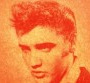 Elvis Presley : nouvelle comédie musicale !