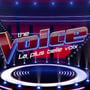 The Voice : c'est quoi cette nouvelle épreuve ?