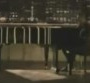 Découvrez le nouveau clip de Taio Cruz