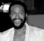 Marvin Gaye : des inédits retrouvés !