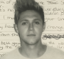Niall Horan (1D) se lance en solo : écoutez !