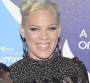 Pink dévoile le single "Today's The Day"