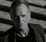 Sting : trois nouveaux concerts dont un Bercy