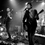 Puggy surprenant au Sentier des Halles : photos