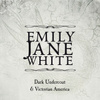 Victorian America / Dark Undercoat (special Edition)