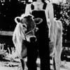 Norman Greenbaum