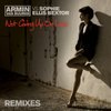 Not Giving Up On Love (remixes) (feat. Sophie Ellis Bextor)