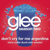 Don't Cry For Me Argentina (glee Cast - Kurt/chris Colfer Solo Version)