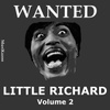 Wanted Little Richard