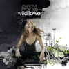 Wildflower
