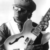 Johnny "Guitar" Watson