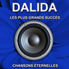 Les Plus Grands Succès