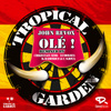 Ole-Radio Edit