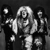 Twisted Sister