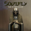 Rise Of The Fallen