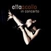In Concerto