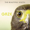 Gaze