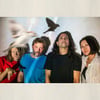 Deerhoof