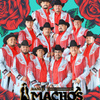 Banda Machos