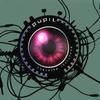 Pupil