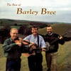 Barley Bree