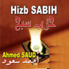 Ahmed Saud