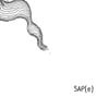 SAP(e)