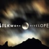 Developer
