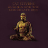 Buddha And The Chocolate Box