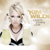 Lights Down Low
