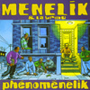 Phenomenelik