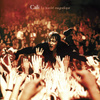 Le Bordel Magnifique (album Live)