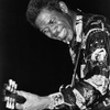 Luther Allison