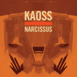 Narcissus