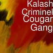Cougar Gang