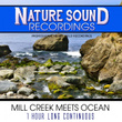 Mill Creek Meets Ocean - 1 Hour Long Continuous