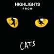 Highlights From Cats