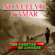 No Vuelvo A Amar
