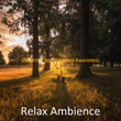 Delightful Bgm for Deep Awareness