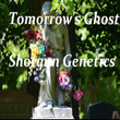Tomorrow's Ghost