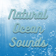 Natural Ocean Sounds