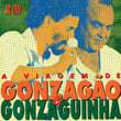 A Viagem De Gonzagão E Gonzaguinha