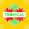 Tropical Ep