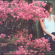 Blossom