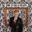 Dime Si Vas a Volver
